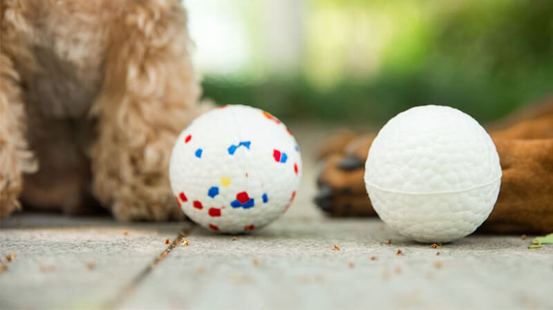 Dog Chew Toy Ball Manufacturer